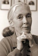 Jane Goodall